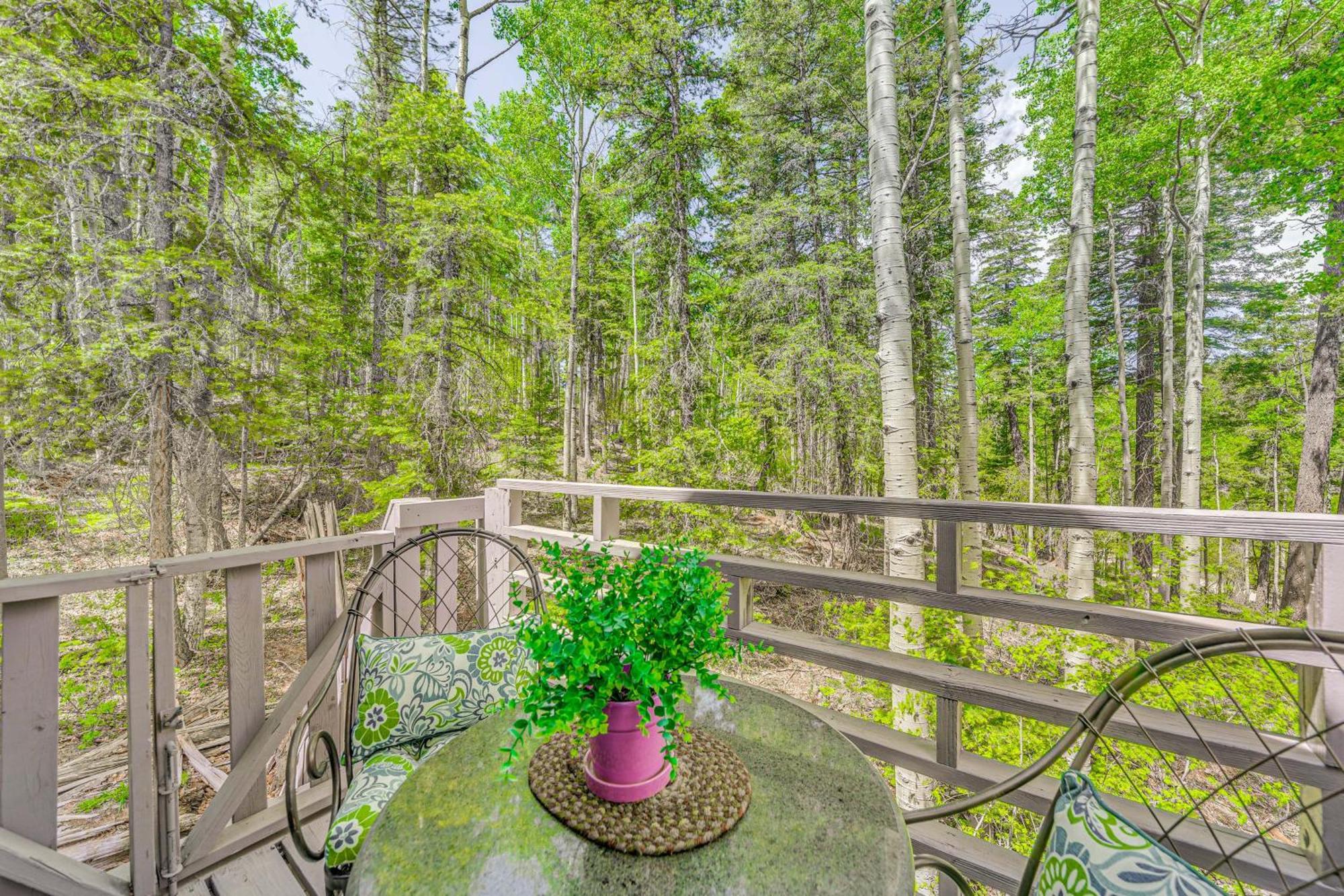 Quaint Cloudcroft Cabin With Stunning Forest Views! エクステリア 写真