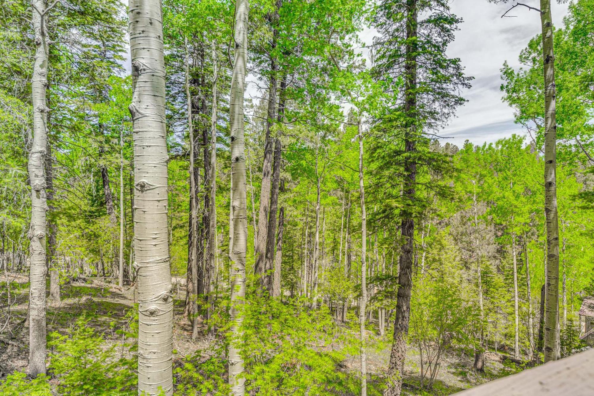 Quaint Cloudcroft Cabin With Stunning Forest Views! エクステリア 写真